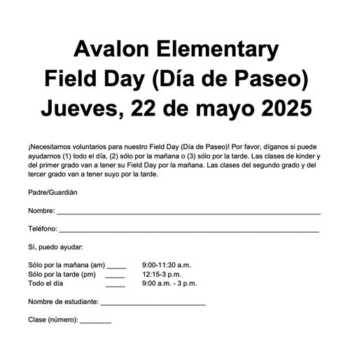 Field Day Spanish